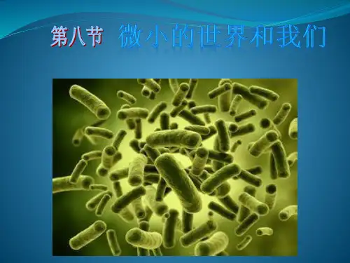 新版六年级下册科学课件1.8 微小世界和我们｜教科版  (共13张)