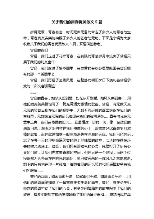 关于我们的青春优美散文5篇