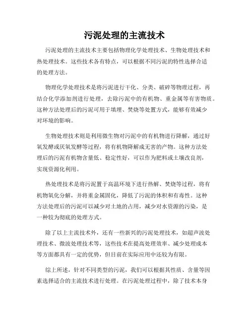 污泥处理的主流技术