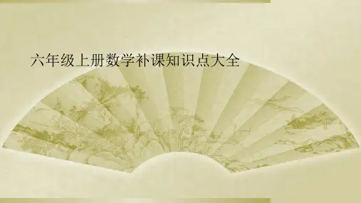 六年级上册数学补课知识点大全
