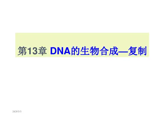 09核酸的生物学功能-1