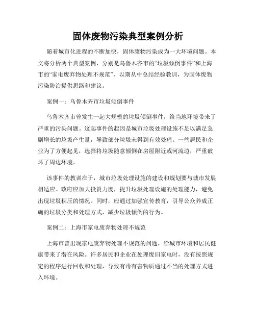 固体废物污染典型案例分析