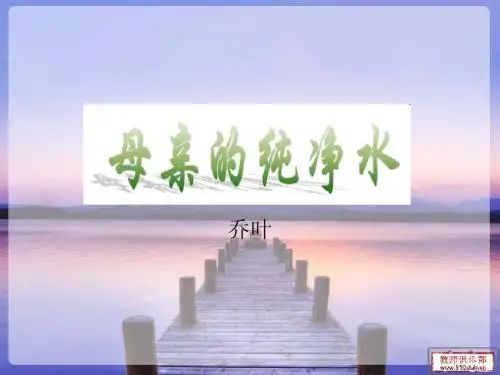 1.母亲的纯净水