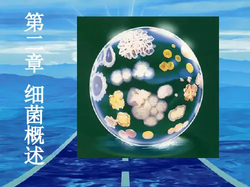 2第二章细菌概述