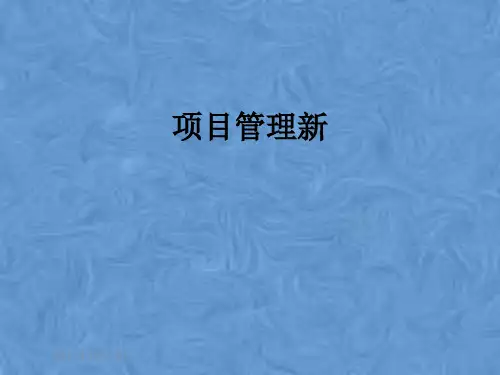 项目管理新