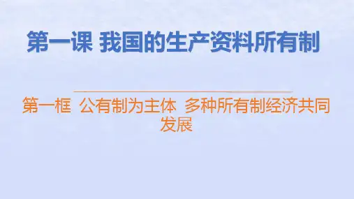 2024新教材高中政治第一单元第一课第一框公有制为主体多种所有制经济共同发展pptx课件部编版必修2