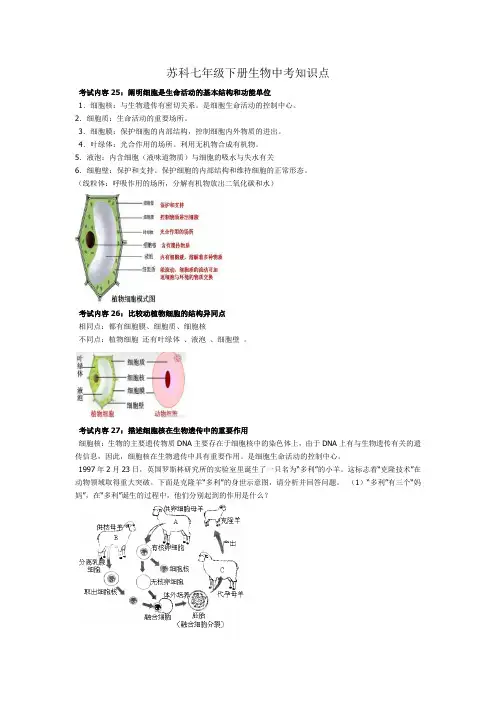 苏科版七下生物中考复习考试内容