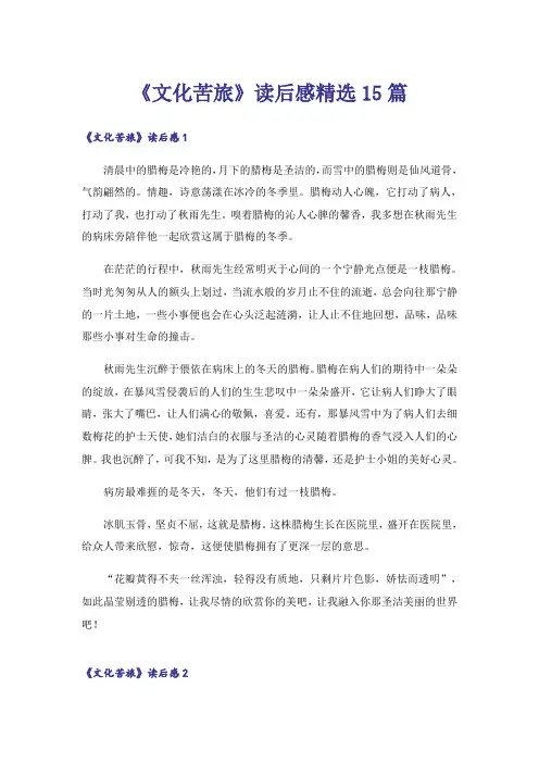 《文化苦旅》读后感精选15篇