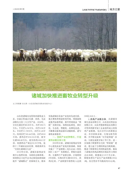 诸城加快推进畜牧业转型升级