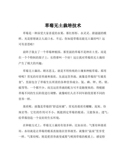 草莓无土栽培技术