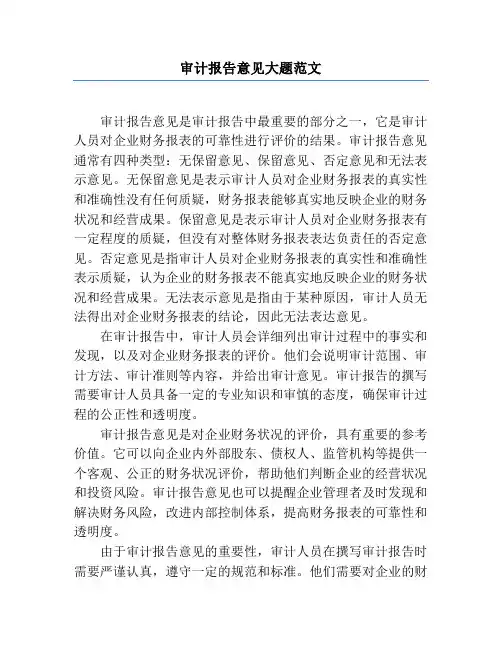 审计报告意见大题范文