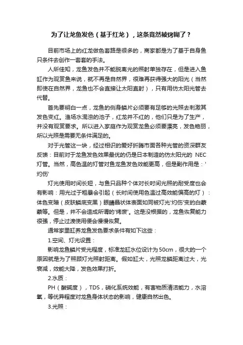 为了让龙鱼发色（基于红龙），这条竟然被烤糊了？