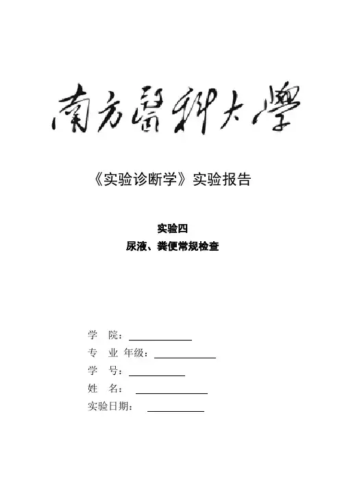 尿液、粪便常规检查—实验诊断学实验报告