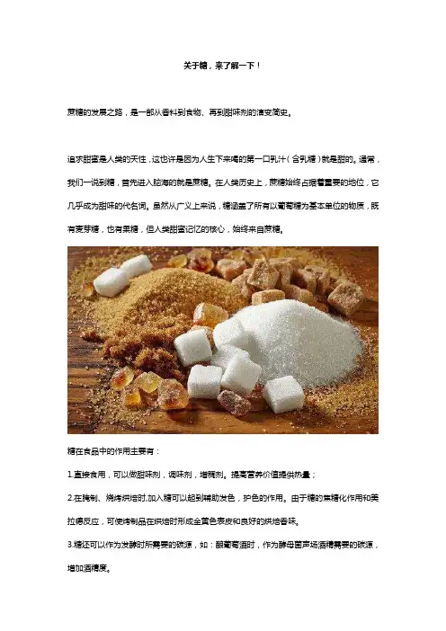 ATAGO(爱拓)全自动折射计SMART-1,检测蔗糖Brix值
