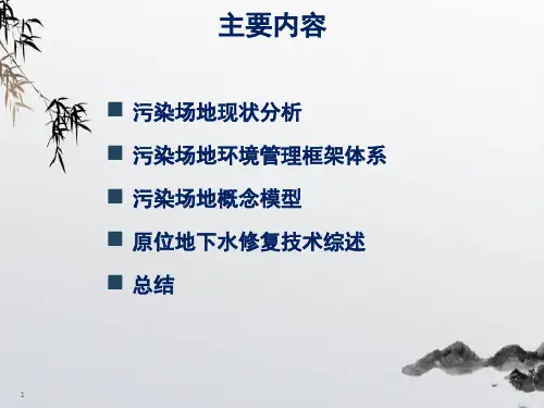 污染场地土壤与地下水风险管理与修复技术