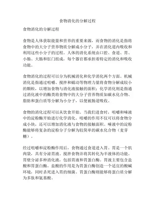 食物消化的分解过程