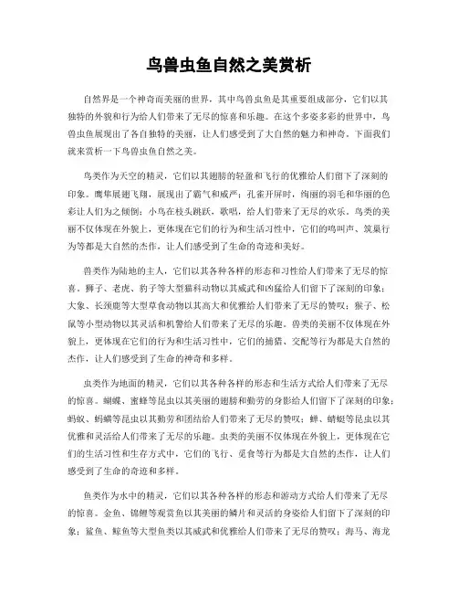鸟兽虫鱼自然之美赏析