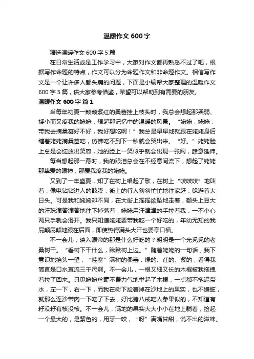 精选温暖作文600字5篇
