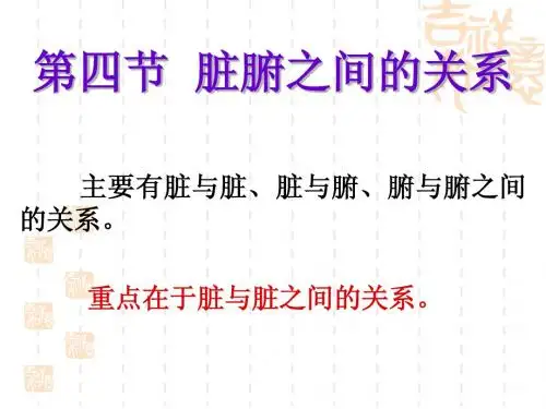 脏腑关系