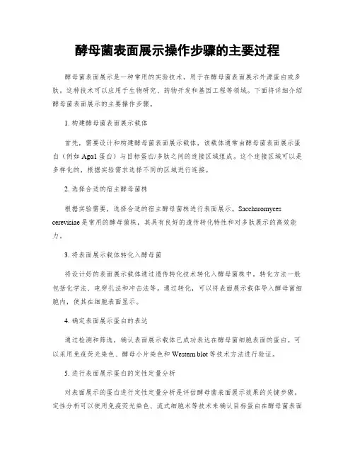 酵母菌表面展示操作步骤的主要过程