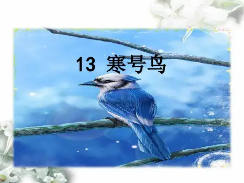 部编版二年级语文上册《寒号鸟》课件PPT(公开课)