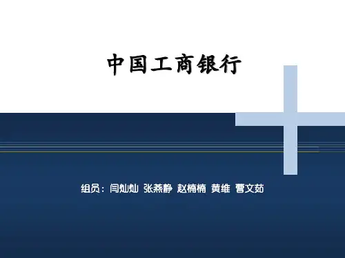 2019财务分析中国工商银行-精品文档