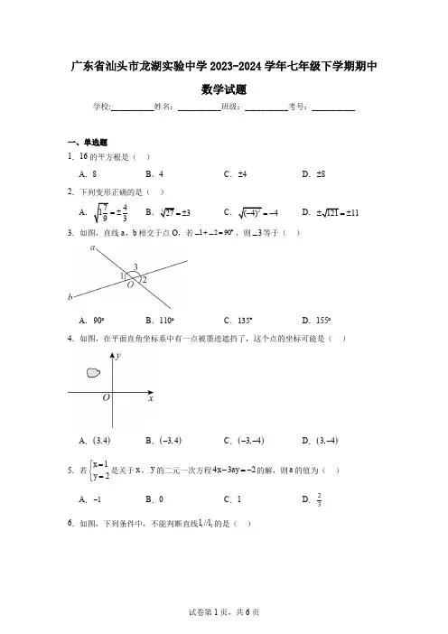 广东省汕头市龙湖实验中学2023-2024学年七年级下学期期中数学试题