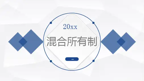 混合所有制_讲稿模板