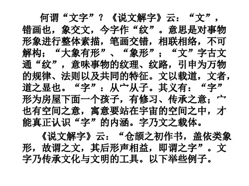 汉字的文化内涵18页PPT