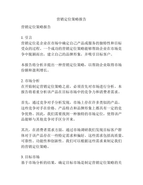 营销定位策略报告