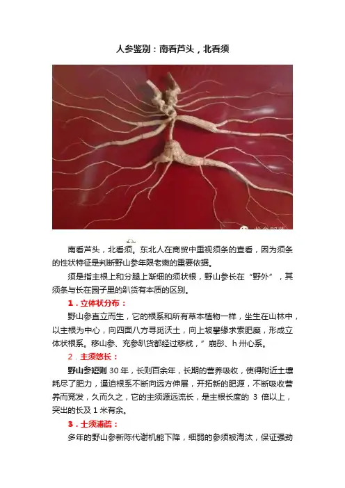 人参鉴别：南看芦头，北看须