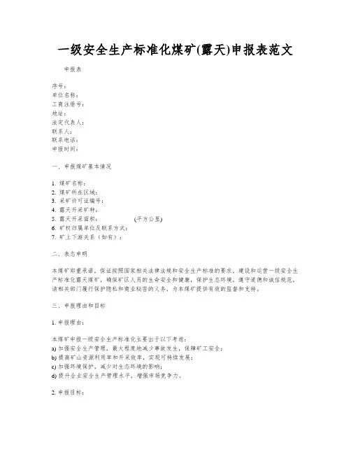 一级安全生产标准化煤矿(露天)申报表范文
