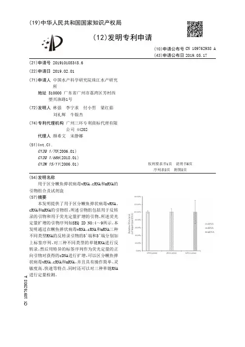 【CN109762938A】用于区分鳜鱼弹状病毒vRNA、cRNA和mRNA的引物组合及试剂盒【专利