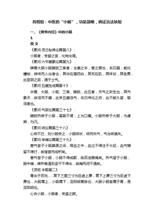 肖相如：中医的“小肠”，功能简略，病证治法缺如