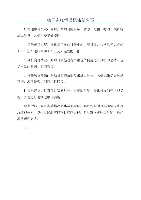 项目实施情况概述怎么写