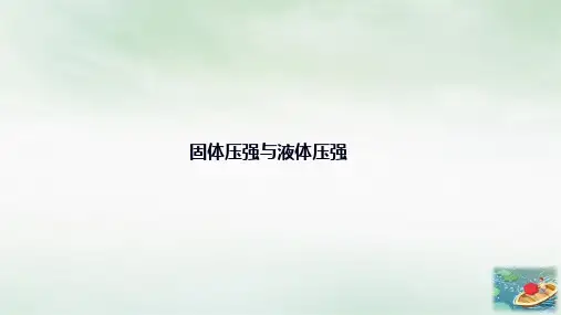 年中考物理专题复习固体压强与液体压强课件