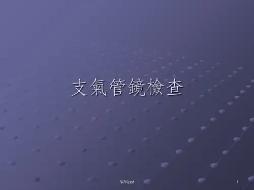 支气管镜检查