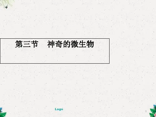 苏教版八年级生物上册第14章第3节神奇的微生物3