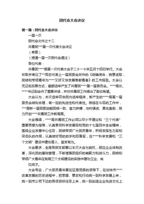 团代会大会决议
