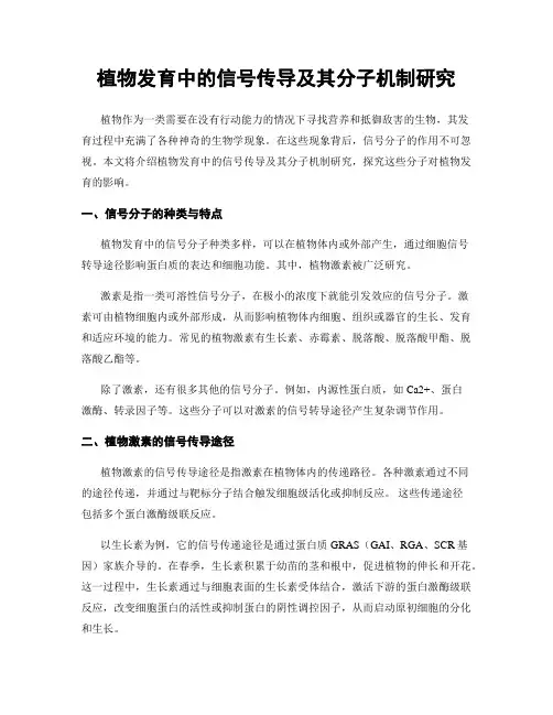 植物发育中的信号传导及其分子机制研究