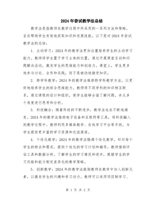 2024年尝试教学法总结
