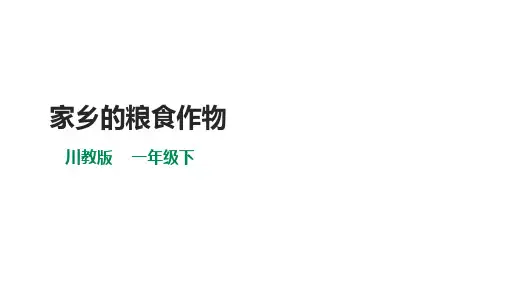 川教版一年级《生命生态安全》下册第15课《家乡的粮食作物》 课件