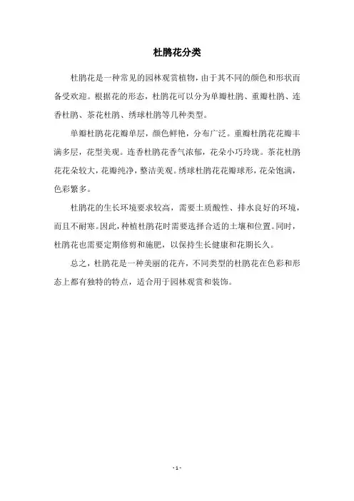 杜鹃花分类