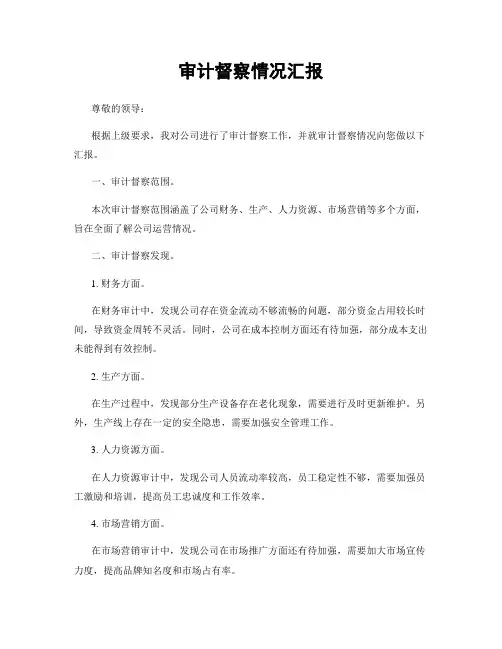 审计督察情况汇报
