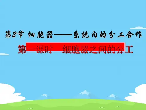 苏教版高中生物必修一第三章 第二节细胞质和细胞器(共26张PPT)优秀课件