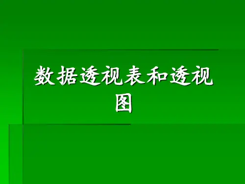 超清晰教学EXCEL透视表与透视图 ppt课件
