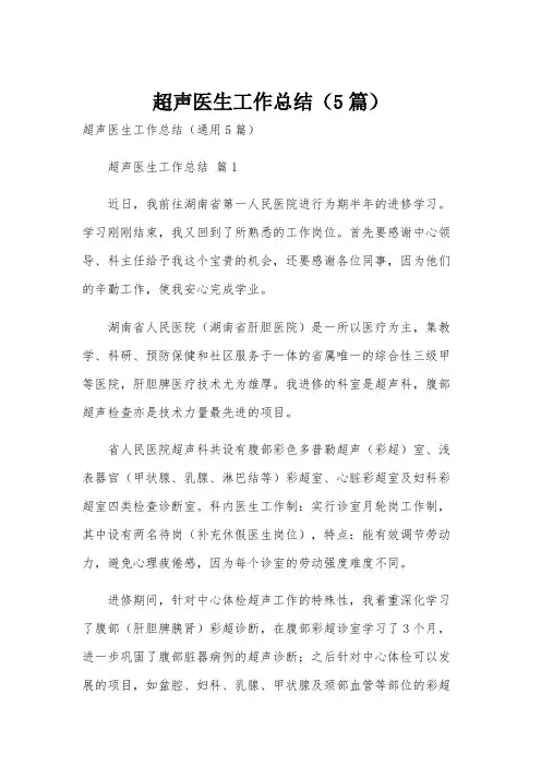 超声医生工作总结(5篇)