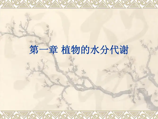 植物生理学——植物的水分生理