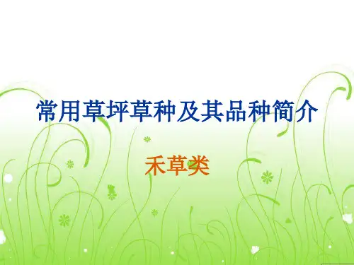 园林草坪植物种质资源及分布 常见草坪草种简介(2冷季型)