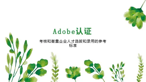 Adobe认证